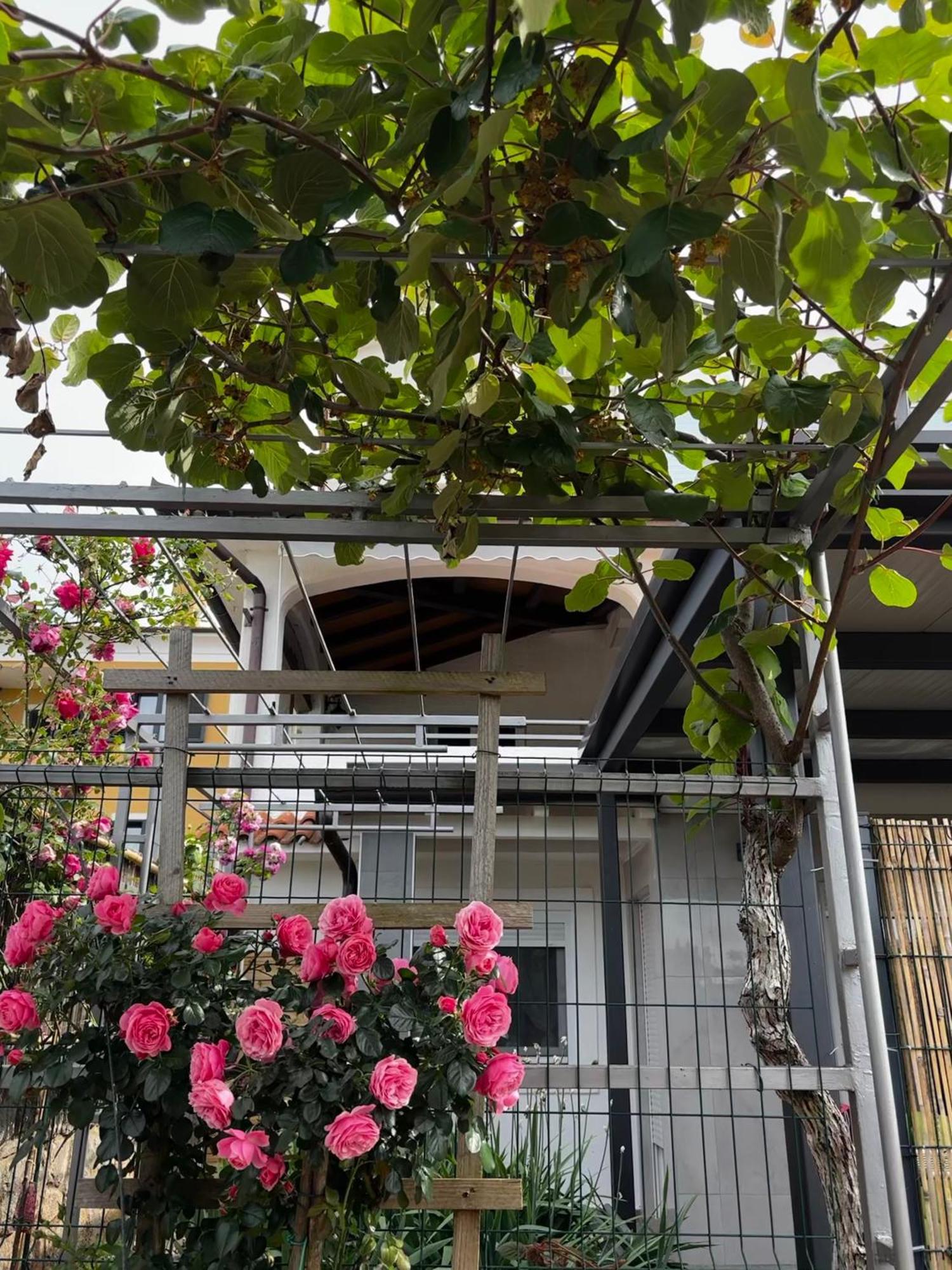אומאג Apartmani Rozi מראה חיצוני תמונה